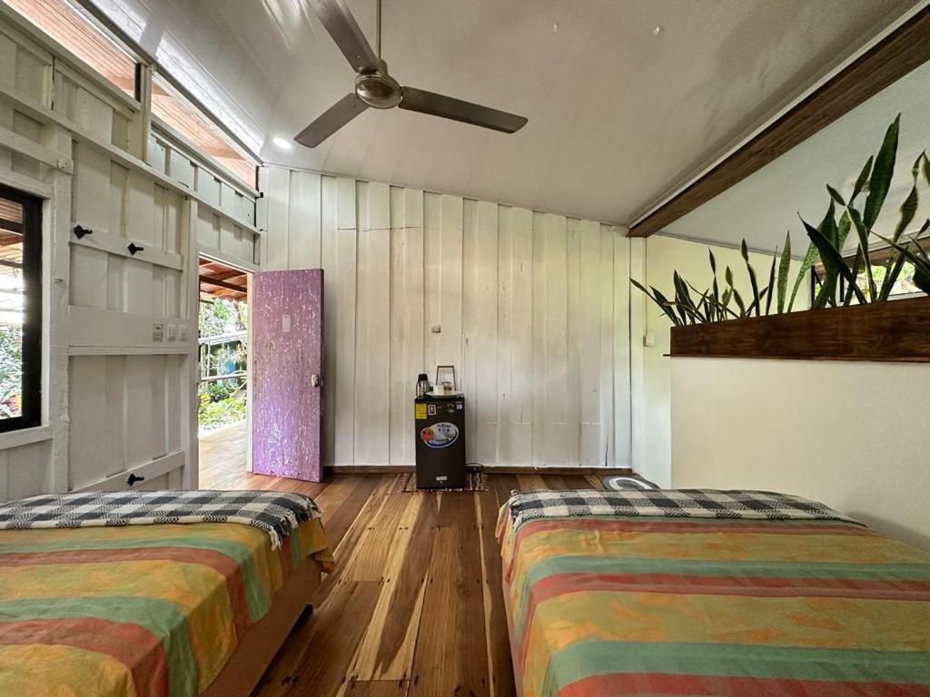 Caribbean Flow Puerto Viejo de Talamanca Ngoại thất bức ảnh